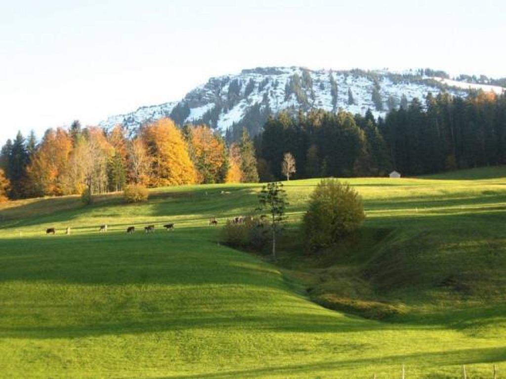 Bauernhof Hammerer Egg Quarto foto